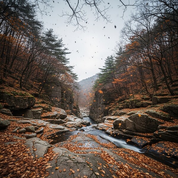 흐림 속 낮 비, 낮 6℃로 쌀쌀