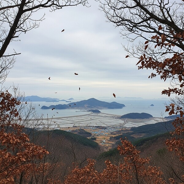 흐림 속 오전 비, 낮 12℃로 온화