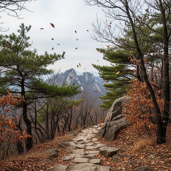 흐림 속 오전~오후 비, 낮 4℃로 매우 쌀쌀