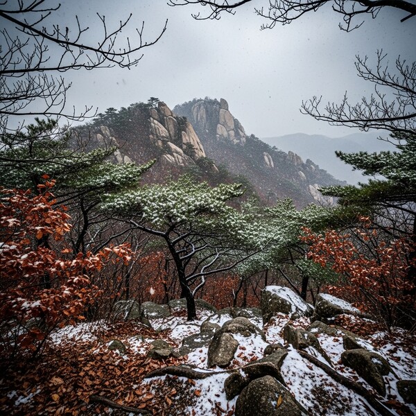 흐린 하늘 속 오후 눈, 낮 2℃로 추위 계속