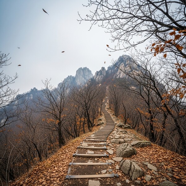 흐리고 오전부터 비…낮 10℃로 다소 온화