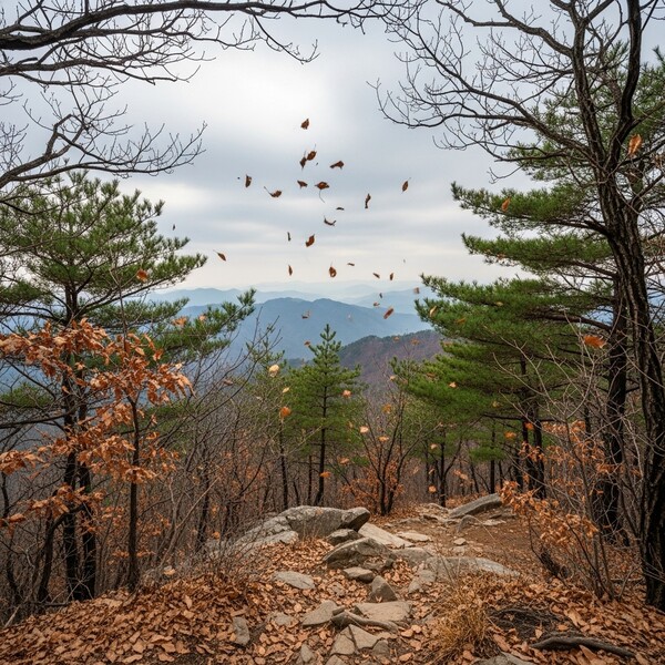 흐리고 오전부터 비, 낮 9℃…습한 공기 이어져