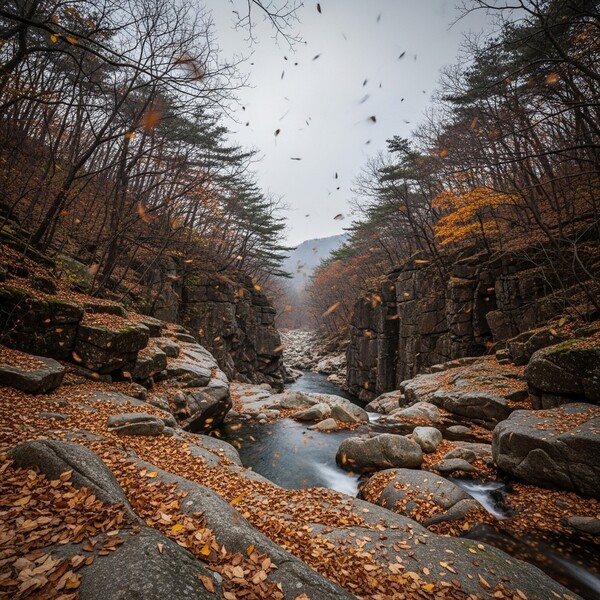 흐리고 오전부터 비, 낮 8℃…습한 공기 속 산행 주의