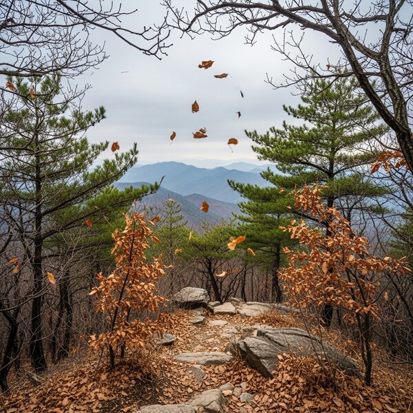 흐리고 오후부터 비, 낮 7℃…차분한 초겨울 하늘