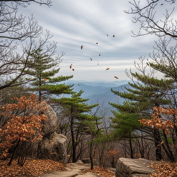 흐리고 오전부터 비, 낮 10℃…온화하지만 습한 날씨