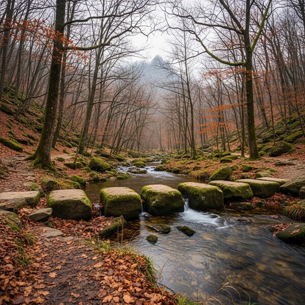 흐리고 오전 비, 낮 11℃…온화하지만 습한 하루