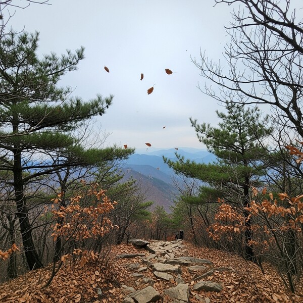 흐리고 오전부터 비, 낮 10℃…온화하지만 습한 하루