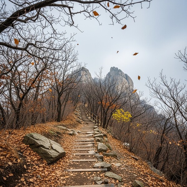 흐리고 오전부터 비, 낮 10℃…종일 습하고 다소 서늘
