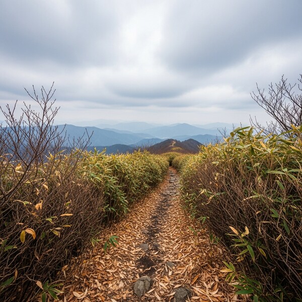 흐리고 오전부터 비, 낮 6℃…습하고 다소 쌀쌀