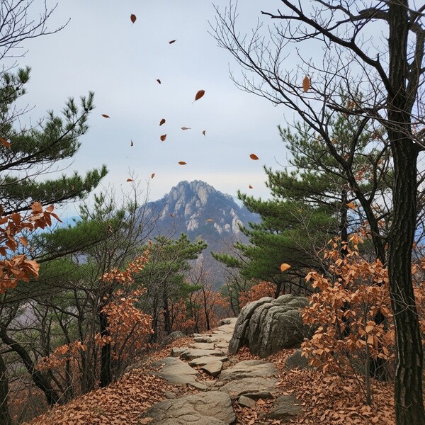 흐리고 오전부터 비, 낮 9℃…산행 시 미끄럼 주의