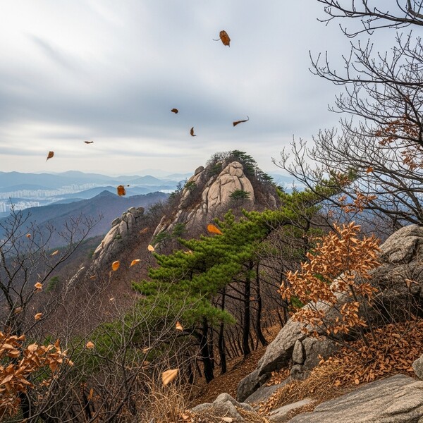 오전 비, 낮 7℃…온화하지만 등산로 미끄러움 주의
