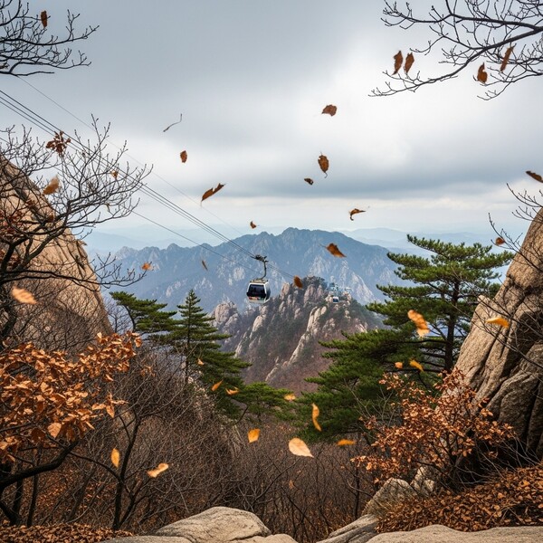 흐리고 오전부터 비, 낮 9℃…습한 공기 속 미끄러움 주의