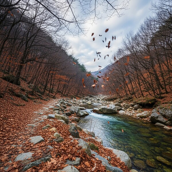 오전부터 비, 낮 7℃…등산 시 미끄럼 주의