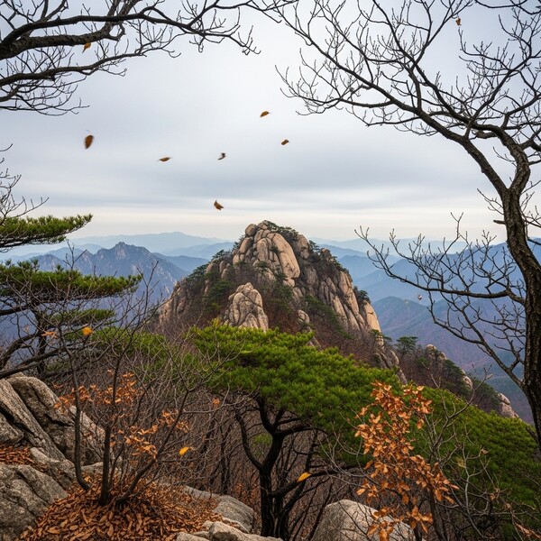 한낮 11℃…온화한 기온, 낮 한때 약한 비