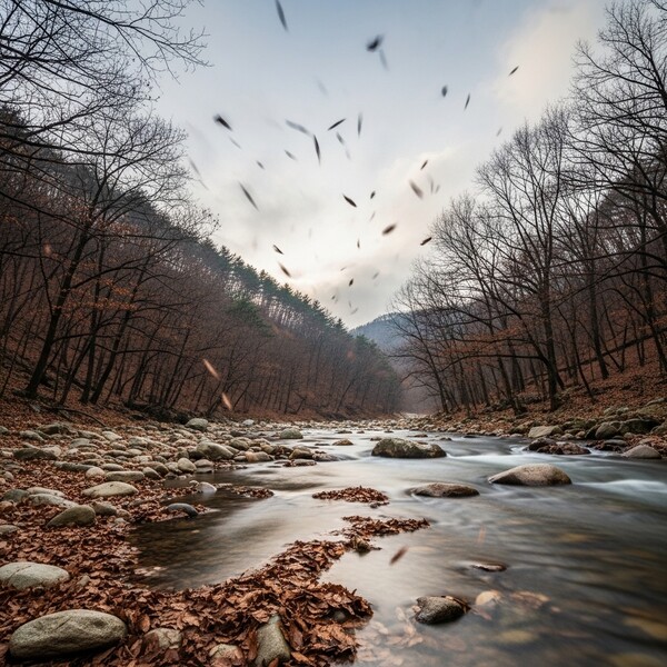 오전 한때 약한 비, 낮 13℃…초겨울의 온화한 산행 날씨