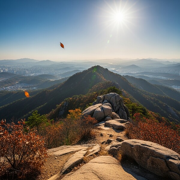 새벽 –1℃ 한기, 낮 9℃ 맑고 따뜻