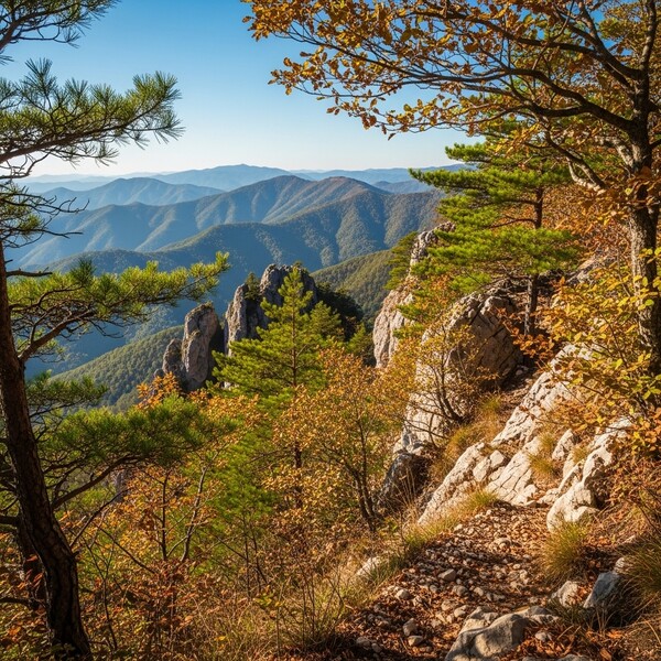 아침 –1℃ 쌀쌀, 낮 7℃ 맑고 포근