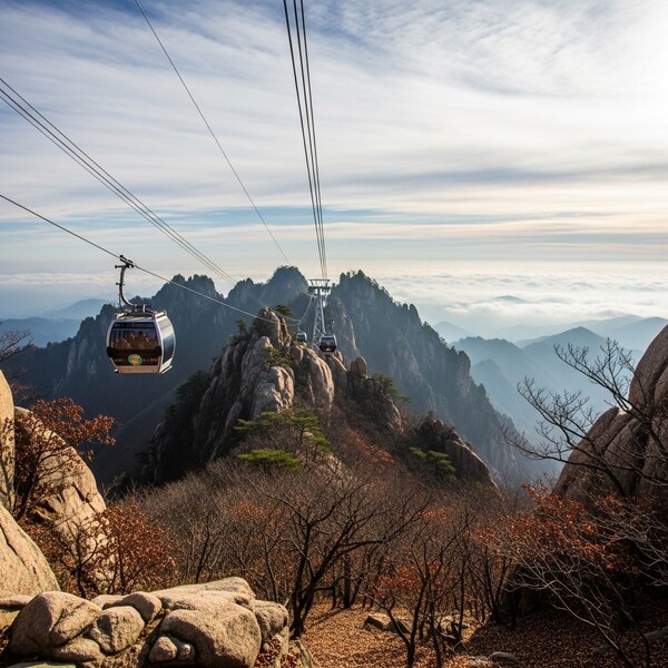 새벽 영하권 추위, 낮에도 1℃ 머무는 한기