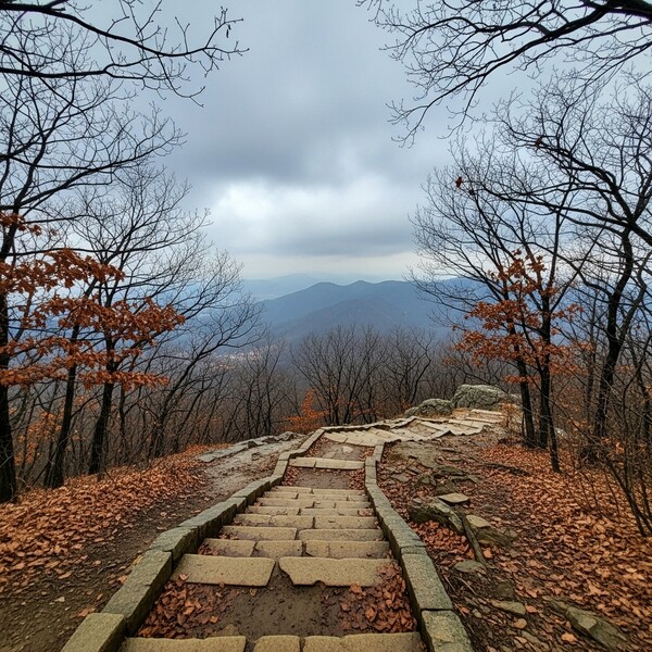 낮엔 8℃까지 오르며 온화, 오전까지 흐림