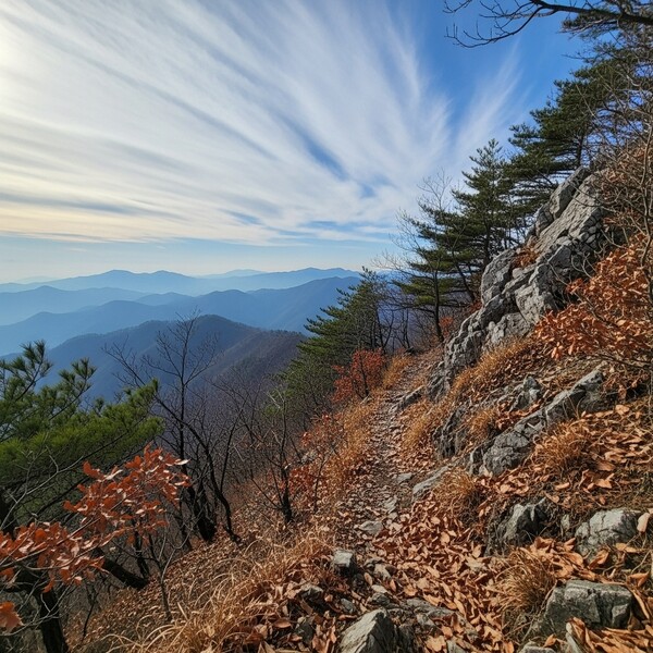 아침 0℃로 쌀쌀, 낮엔 8℃까지 올라 맑고 포근