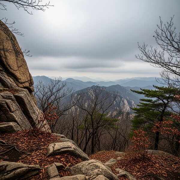 오전까지 흐림, 오후부터 맑은 하늘 회복