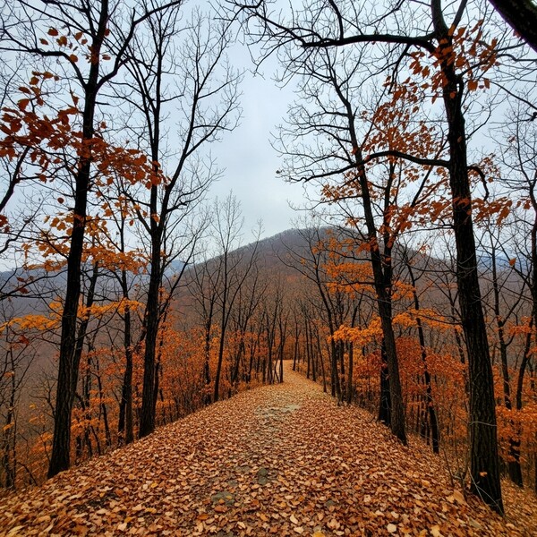 오전까지 흐림, 낮부터 맑고 따뜻한 날씨