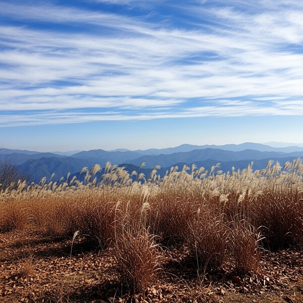 아침 영하권 추위, 낮엔 8℃까지 올라 맑고 포근