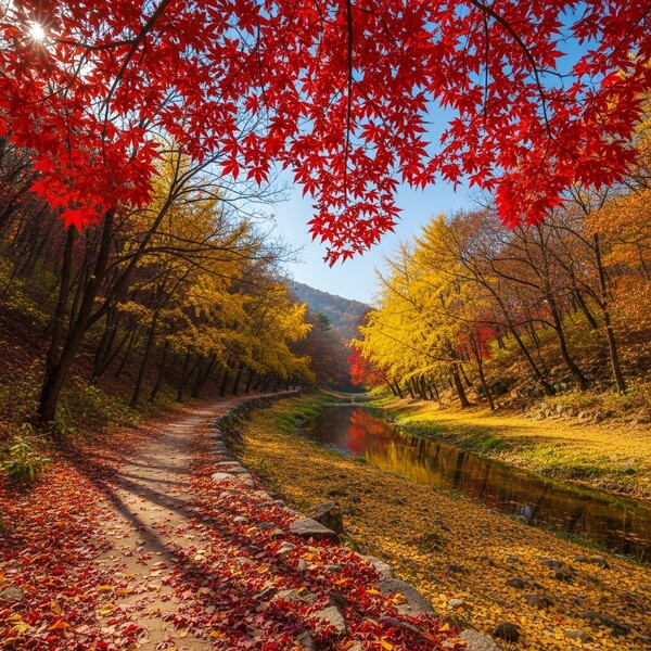 오전까지 흐림, 오후엔 맑고 포근