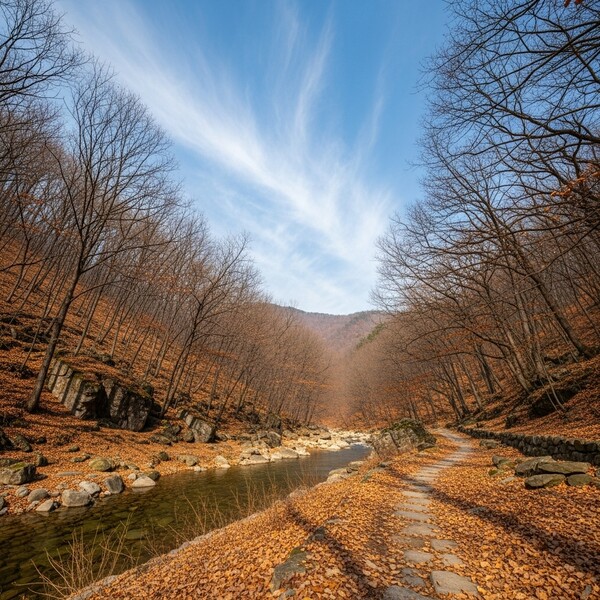 아침 추위 후 맑고 포근한 봄날씨