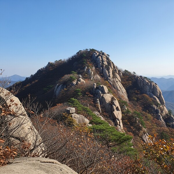 초겨울 맑은 하늘, 낮엔 햇살 포근