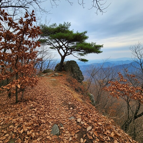 초겨울 맑고 온화, 낮엔 햇살 따뜻