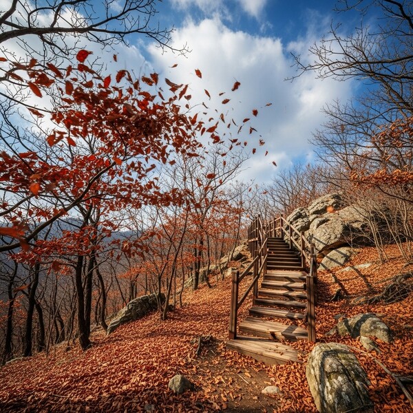 초겨울 햇살 포근, 맑고 청명한 하루