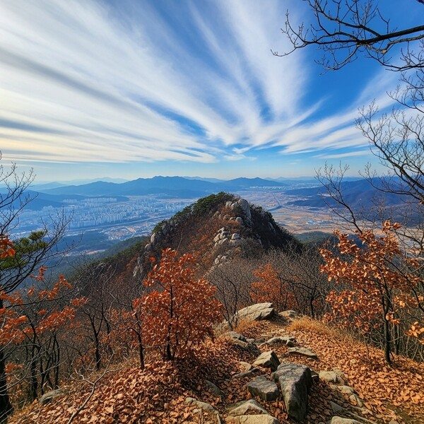 초겨울 햇살 포근, 오후부터 옅은 구름