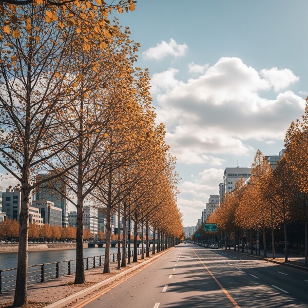 내일 아침~저녁 비…동부 높은 산지 비·눈, 글피 맑음