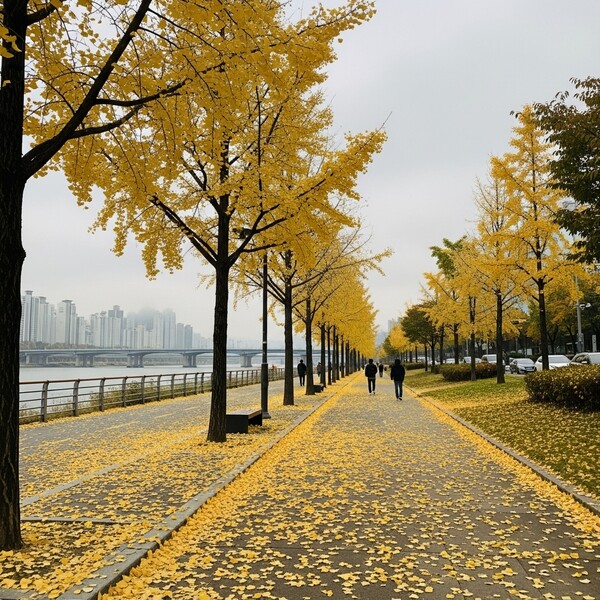 내일 전국 비·눈…초겨울 한파 재강세