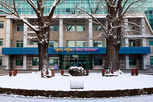 화순군, '길고양이와 실외 사육견 중성화 수술' 지원 - 뉴스 썸네일 이미지