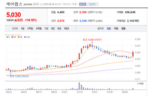 의료+광고+솔루션 삼각편대...케어랩스, 디지털 헬스케어 선도 기업으로 - 뉴스 썸네일 이미지