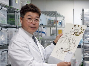 경희대 김호철 교수, WHO ‘세계 21대 혁신’ 선정…한국 천연물·한의학 연구 국제적 인정