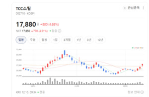 주석·니켈·크롬산 강판 다변화...TCC스틸, 글로벌 수익성 확대 기대 - 뉴스 썸네일 이미지