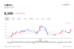 글로벌 시장과 ESG 경영 강화...LX홀딩스 장기 경쟁력 확보 - 뉴스 썸네일 이미지