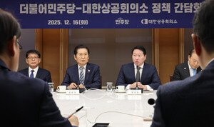 <b>대한상의</b>, 더불어민주당 지도부 만났다…'지역별 <b>전기요금 차등제</b>' 건의