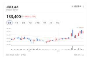 자회사 80% 뛰었는데 홀딩스는 12%...세아홀딩스에 숨은 기회 - 뉴스 썸네일 이미지