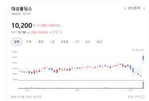 대상홀딩스, 해외 진출과 신제품 개발로 중장기 성장 전략 강화 - 뉴스 썸네일 이미지