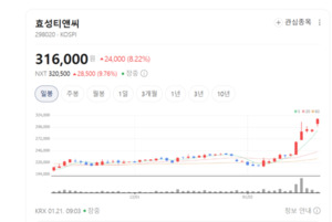 글로벌 1위 스판덱스의 힘...효성티앤씨, 섬유·무역 쌍두마차 - 뉴스 썸네일 이미지