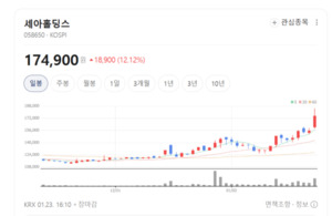 "단순 지주사가 아니다"... 세아홀딩스, 미래 먹거리 발굴에 사활 - 뉴스 썸네일 이미지