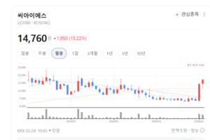 합병 후폭풍 무섭네...씨아이에스, 반도체·PCB 장비 시장 '태풍의 눈' - 뉴스 썸네일 이미지