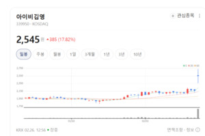 40년 노하우에 M&A 날개 달았다... 아이비김영, 종합 교육 공룡으로 - 뉴스 썸네일 이미지