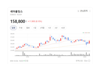 밸류업 올라탄 세아홀딩스, '만년 저평가' 꼬리표 떼고 고공행진 예고 - 뉴스 썸네일 이미지
