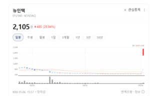 뉴인텍, 중국·루마니아 글로벌 생산 기지 기반 해외 매출 확대 - 뉴스 썸네일 이미지