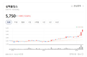 메모리 넘어 시스템 IC로... 심텍홀딩스, 고부가 기판 앞세워 '빅 사이클... - 뉴스 썸네일 이미지
